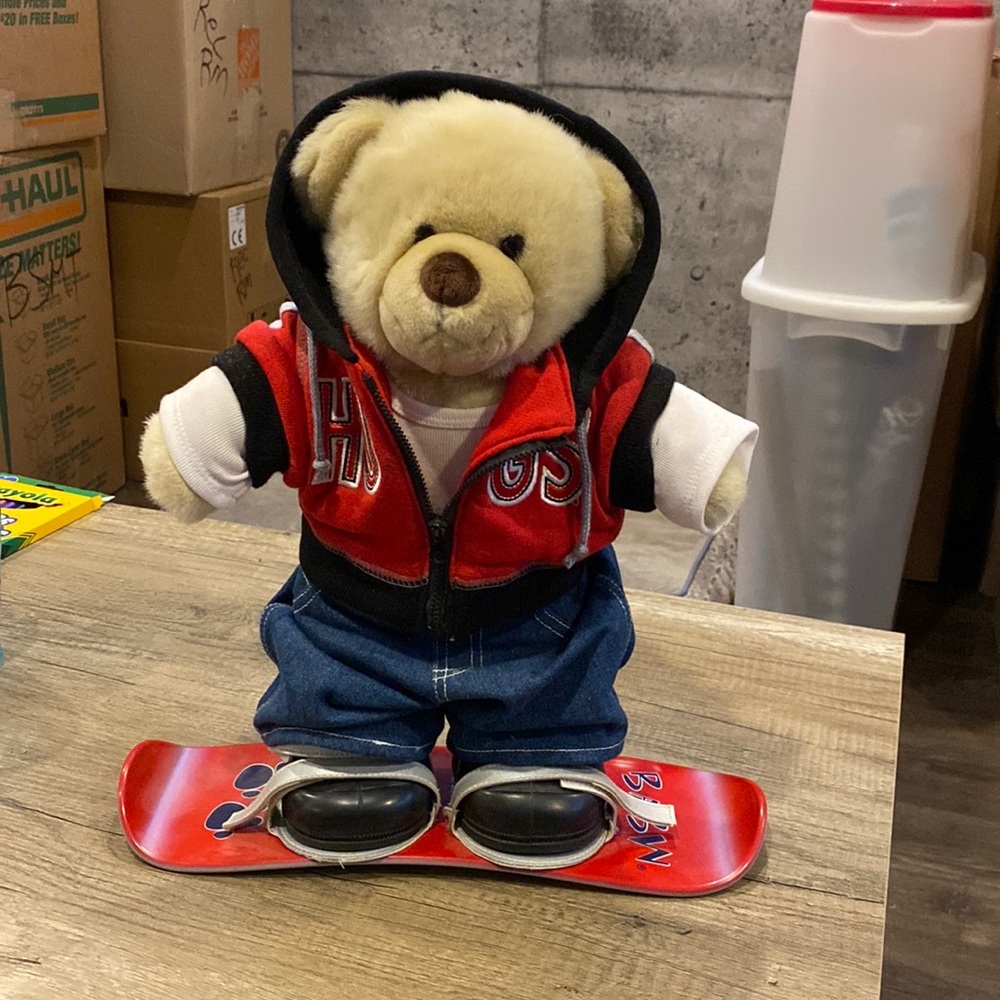Build a bear snowboard bear